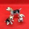 Miniature chiens famille