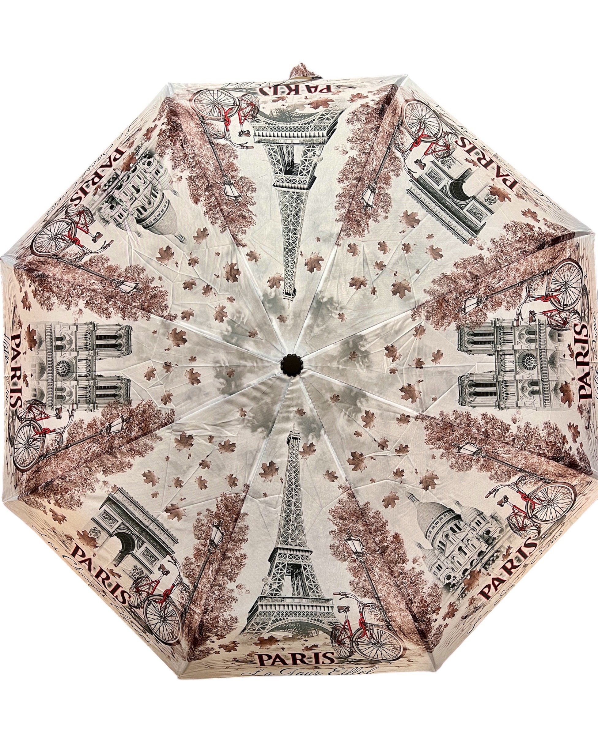 parapluie automatique Paris automne