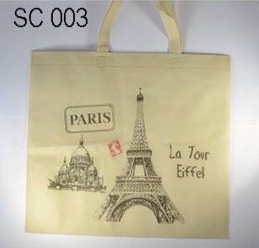 sac souvenirs de Paris
